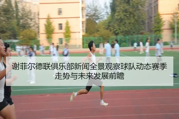 谢菲尔德联俱乐部新闻全景观察球队动态赛季走势与未来发展前瞻