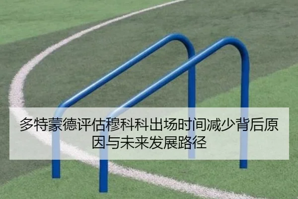 多特蒙德评估穆科科出场时间减少背后原因与未来发展路径 - 新闻资讯焦点报道封面图